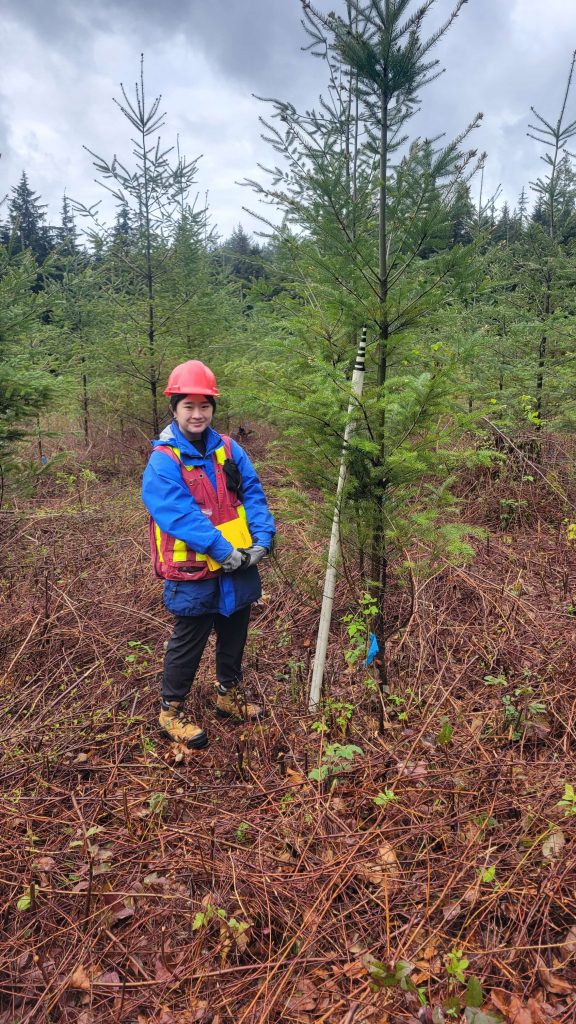 UBC Forestry Co-op student, Sarah Law, is standing in a forest while wearing safety clothing. 