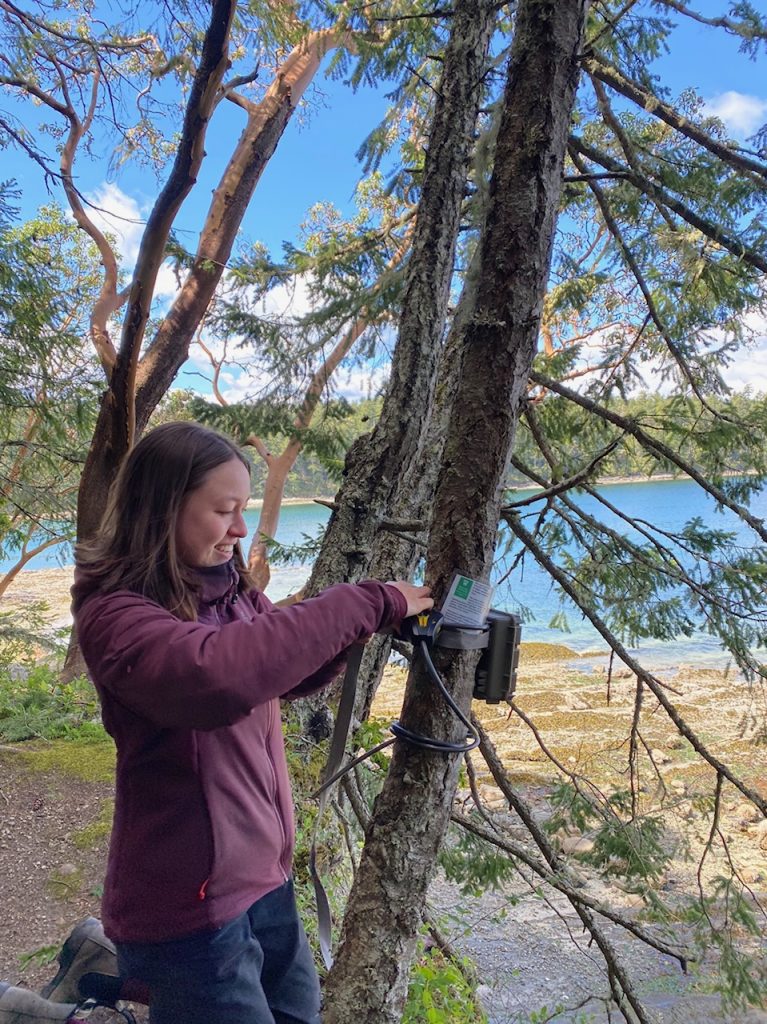 Erica fixing a shoreline trail camera on a tree.