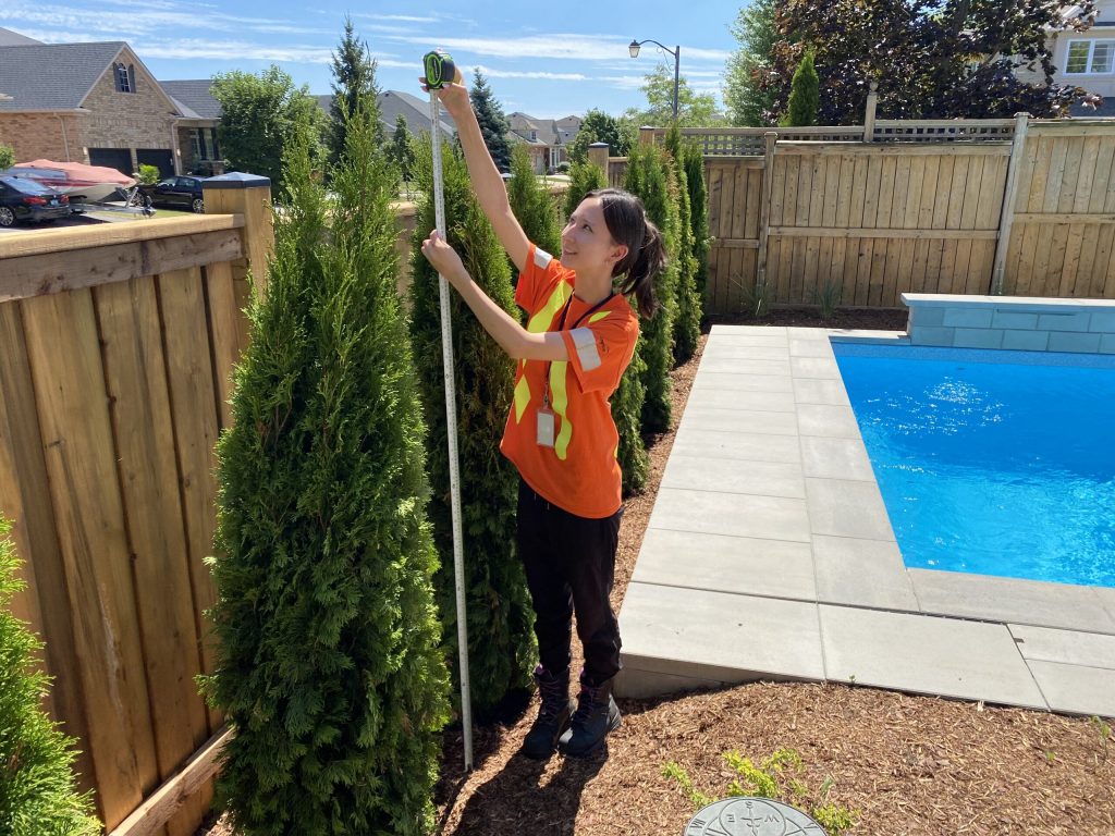 Kaysha measuring a tree.