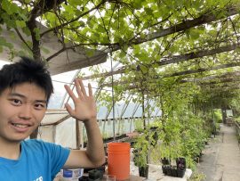 UBC Forestry Co-op Student, Zewen Liu is taking a selfie waving to the camera with several plants in the background. 