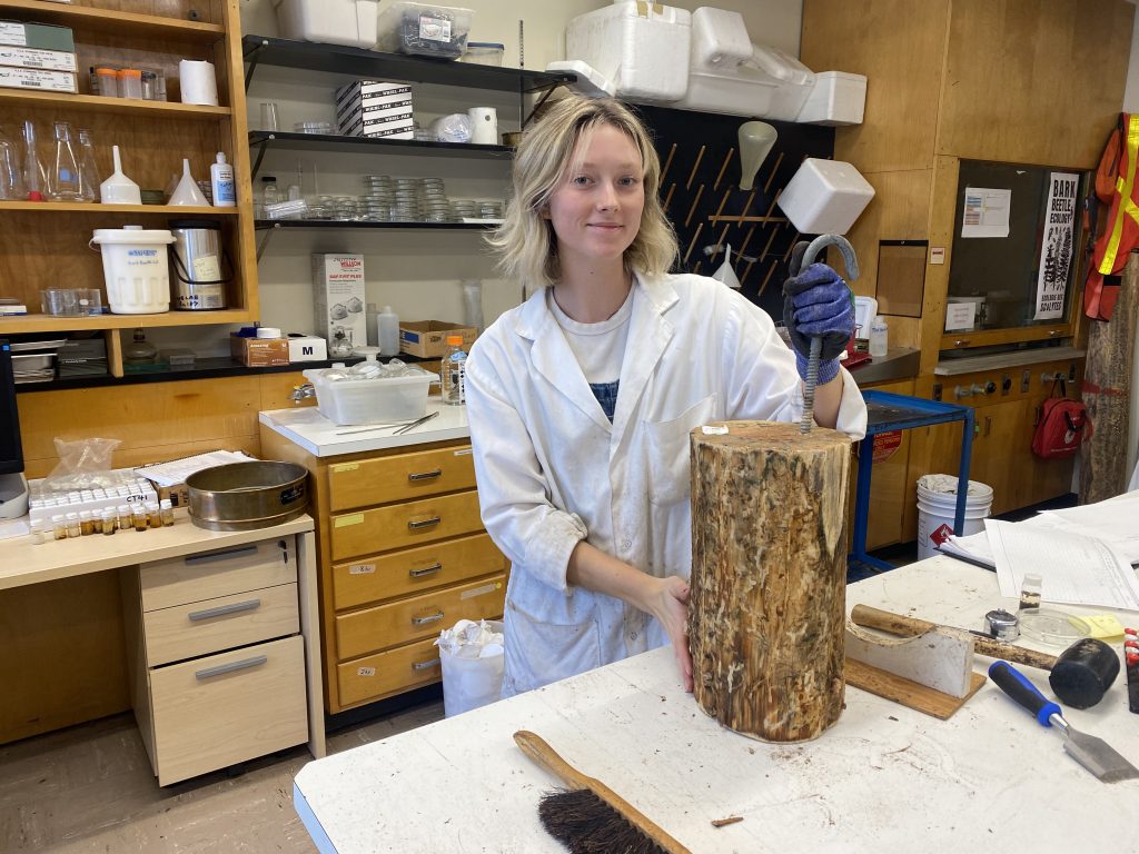 Julia holding a small log in a laboratory in the research institute 